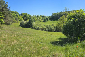 Działka na sprzedaż 13600m2 ostródzki Morąg Gubity - zdjęcie 2