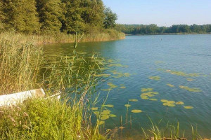 Dom na sprzedaż 83m2 międzychodzki Sieraków Przemyśl - zdjęcie 1