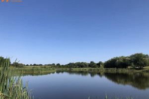 Działka na sprzedaż 2000m2 obornicki Rogoźno Międzylesie - zdjęcie 1