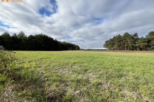 Działka na sprzedaż 1694m2 średzki Krzykosy Brzozowiec - zdjęcie 3