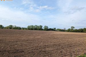 Działka na sprzedaż 12000m2 obornicki Oborniki Podlesie Podlesie - zdjęcie 3