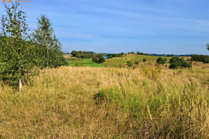 Działka na sprzedaż 1500m2 myśliborski Myślibórz Ławy - zdjęcie 3