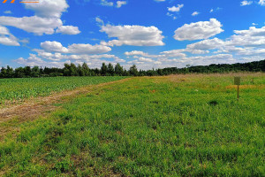 Działka na sprzedaż 1000m2 szamotulski Wronki OBELZANKI - zdjęcie 3