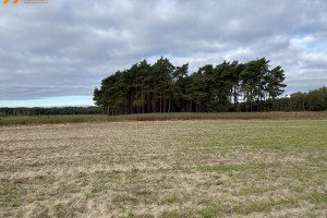 Działka na sprzedaż 1650m2 średzki Krzykosy Murzynowo Leśne - zdjęcie 2