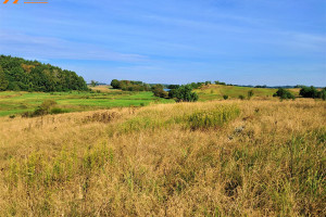 Działka na sprzedaż 1500m2 myśliborski Myślibórz Ławy - zdjęcie 1