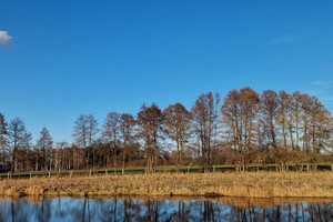 Działka na sprzedaż 1880m2 obornicki Rogoźno - zdjęcie 3