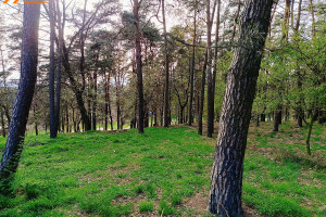 Działka na sprzedaż 1000m2 szamotulski Wronki OBELZANKI - zdjęcie 1