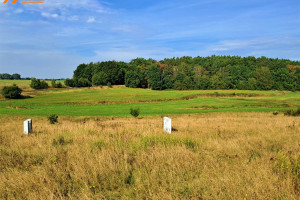 Działka na sprzedaż 1500m2 myśliborski Myślibórz Ławy - zdjęcie 2