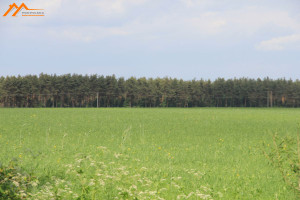 Działka na sprzedaż 15000m2 obornicki Oborniki - zdjęcie 1