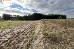 Działka na sprzedaż 1694m2 średzki Krzykosy Murzynowo Leśne - zdjęcie 3