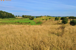 Działka na sprzedaż 1500m2 myśliborski Myślibórz Ławy - zdjęcie 3