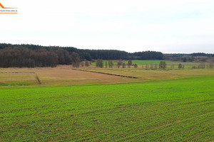 Działka na sprzedaż 1800m2 międzychodzki Chrzypsko Wielkie - zdjęcie 2