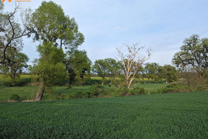 Działka na sprzedaż 23000m2 obornicki Rogoźno Międzylesie Międzylesie - zdjęcie 1