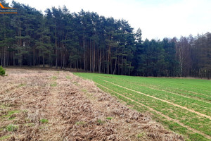 Działka na sprzedaż 1500m2 obornicki Oborniki Sycyn - zdjęcie 2