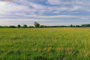 Działka na sprzedaż 1160m2 szamotulski Duszniki Ceradz Dolny - zdjęcie 3