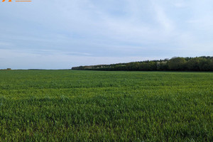 Działka na sprzedaż 12000m2 obornicki Oborniki Podlesie Podlesie - zdjęcie 2