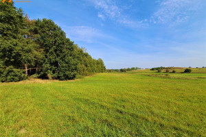 Działka na sprzedaż 1500m2 myśliborski Myślibórz Ławy - zdjęcie 1