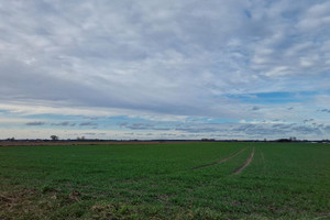 Działka na sprzedaż 1024m2 obornicki Oborniki Maniewo - zdjęcie 1