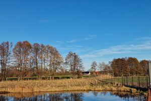 Działka na sprzedaż 1880m2 obornicki Rogoźno - zdjęcie 2