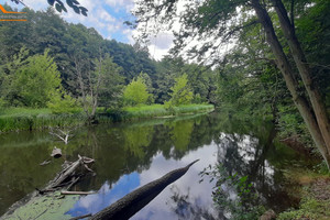 Działka na sprzedaż 530m2 obornicki Oborniki Czarnkowska - zdjęcie 2