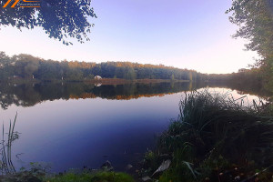 Działka na sprzedaż 1000m2 międzychodzki Międzychód Muchocin - zdjęcie 3