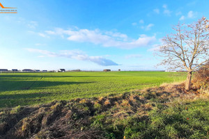 Działka na sprzedaż 1000m2 szamotulski Kaźmierz - zdjęcie 3