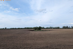 Działka na sprzedaż 12000m2 obornicki Oborniki Podlesie Podlesie - zdjęcie 1