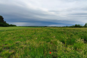 Działka na sprzedaż 2316m2 gryficki Trzebiatów - zdjęcie 2