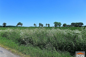 Działka na sprzedaż 2600m2 gryficki Gryfice - zdjęcie 2