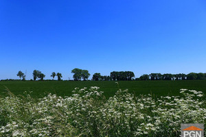 Działka na sprzedaż 2600m2 gryficki Gryfice - zdjęcie 3