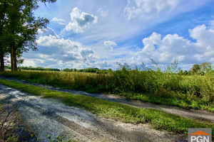 Działka na sprzedaż 3700m2 gryficki Płoty - zdjęcie 2