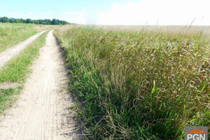 Działka na sprzedaż 960m2 gryficki Trzebiatów - zdjęcie 1