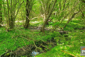 Działka na sprzedaż 2950m2 gryficki Gryfice - zdjęcie 2