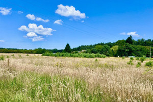 Działka na sprzedaż 1950m2 kamieński Wolin Domysłów - zdjęcie 1