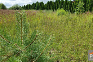 Działka na sprzedaż 1500m2 gryficki Gryfice - zdjęcie 2