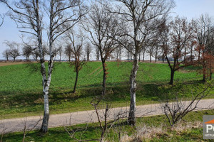 Działka na sprzedaż gryficki Trzebiatów - zdjęcie 1