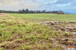 Działka na sprzedaż 1500m2 gryficki Gryfice - zdjęcie 1