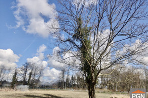 Działka na sprzedaż 4140m2 kamieński Wolin Spokojna - zdjęcie 2