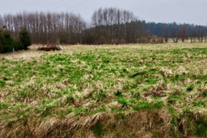 Działka na sprzedaż 1000m2 gryficki Rewal Pobierowo - zdjęcie 1