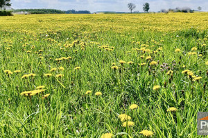 Działka na sprzedaż 1294m2 gryficki Gryfice - zdjęcie 3