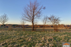 Działka na sprzedaż 20000m2 gryficki Rewal - zdjęcie 3