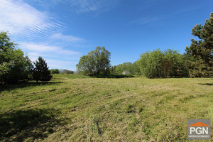 Działka na sprzedaż 19400m2 gryficki Gryfice - zdjęcie 3