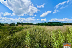 Działka na sprzedaż 1950m2 kamieński Wolin Domysłów - zdjęcie 3