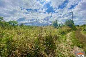 Działka na sprzedaż 19400m2 gryficki Gryfice - zdjęcie 1