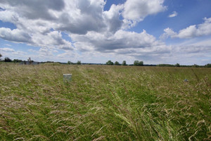 Działka na sprzedaż 710m2 gryficki Karnice Ninikowo - zdjęcie 2