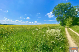 Działka na sprzedaż 683m2 gryficki Rewal - zdjęcie 2