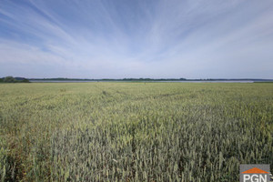 Działka na sprzedaż 7350m2 kamieński Kamień Pomorski Sibin - zdjęcie 2