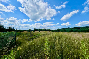 Działka na sprzedaż 1950m2 kamieński Wolin Domysłów - zdjęcie 2