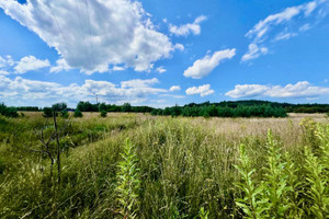 Działka na sprzedaż 1950m2 kamieński Wolin Domysłów - zdjęcie 3