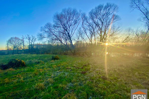 Działka na sprzedaż 20000m2 gryficki Rewal - zdjęcie 1